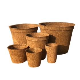 Coir Fiber Pots 1-PhotoRoom.png-PhotoRoom Coir Fiber Pots 1-PhotoRoom.png-PhotoRoom