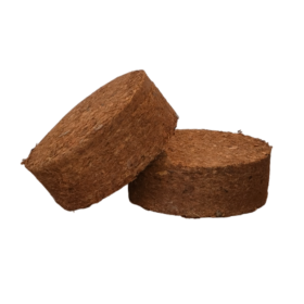 R TYPE-PhotoRoom.png-PhotoRoom R TYPE-PhotoRoom.png-PhotoRoom
